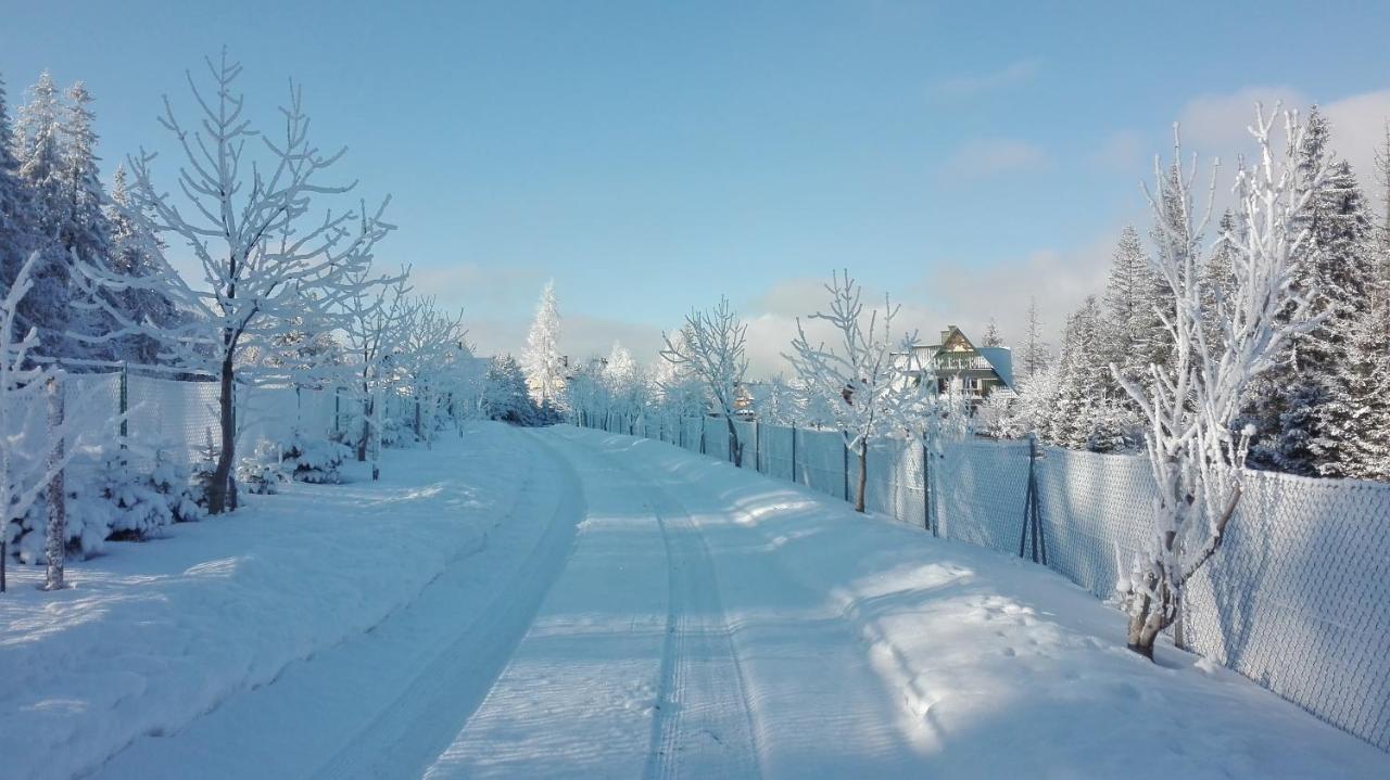 Apartament Nad Stawem Zakopane Esterno foto