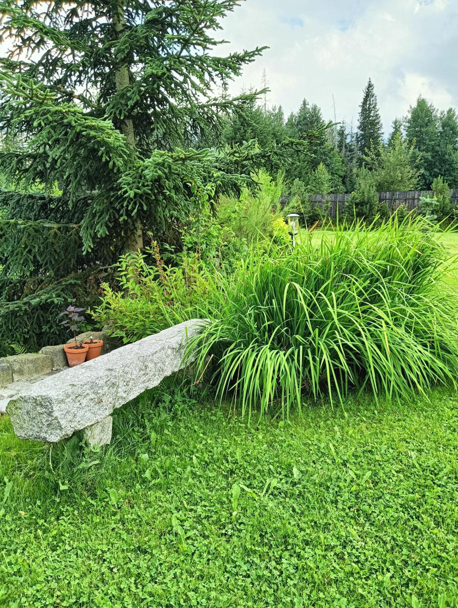 Apartament Nad Stawem Zakopane Esterno foto